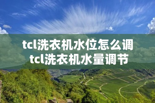 tcl洗衣机水位怎么调 tcl洗衣机水量调节