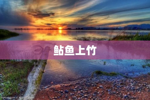 鲇鱼上竹:传说中的奇观