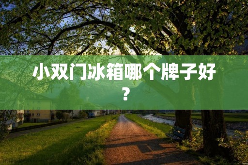 小双门冰箱哪个牌子好？