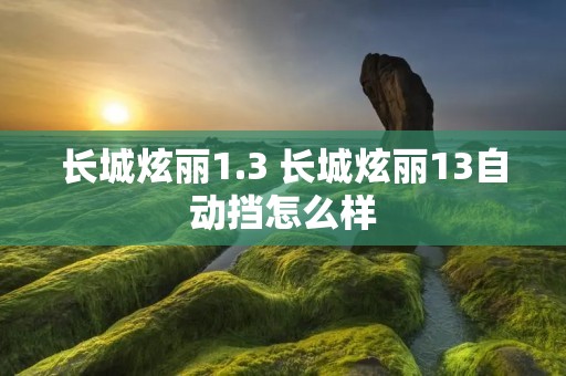 长城炫丽1.3 长城炫丽13自动挡怎么样