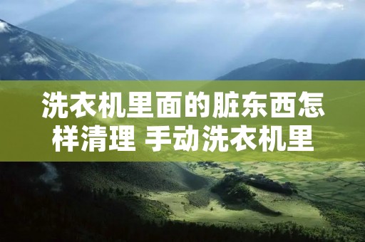 洗衣机里面的脏东西怎样清理 手动洗衣机里面的脏东西怎样清理