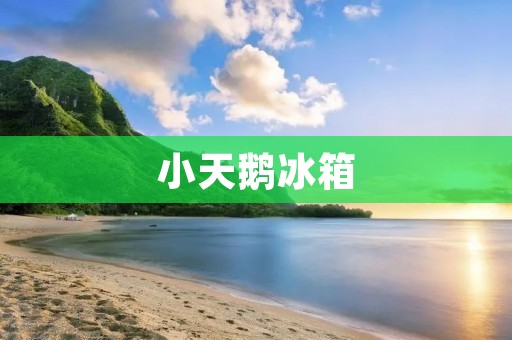 小天鹅冰箱:品质与创新的代表 小天鹅冰箱:品质与创新的代表
