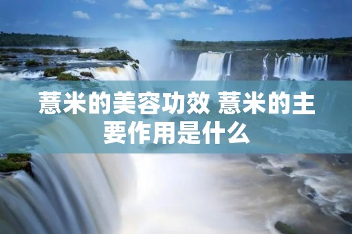 薏米的美容功效 薏米的主要作用是什么