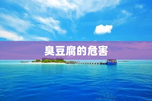 臭豆腐的危害:了解这道美食背后的健康问题