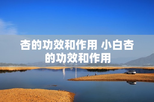 杏的功效和作用 小白杏的功效和作用