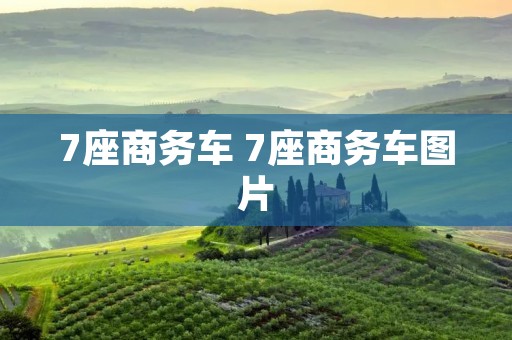 7座商务车 7座商务车图片 7座商务车 7座商务车图片