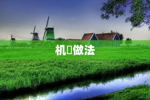 机粿做法：传统美味，让你回味无穷