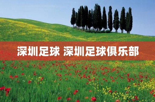 深圳足球 深圳足球俱乐部
