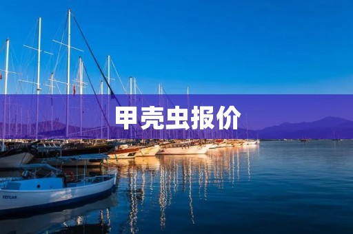 甲壳虫报价:经典车型的魅力与价值 甲壳虫报价:经典车型的魅力与价值