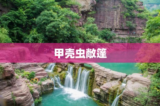 甲壳虫敞篷:时尚与自由的完美结合 甲壳虫敞篷:时尚与自由的完美结合