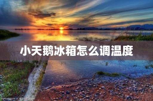小天鹅冰箱怎么调温度