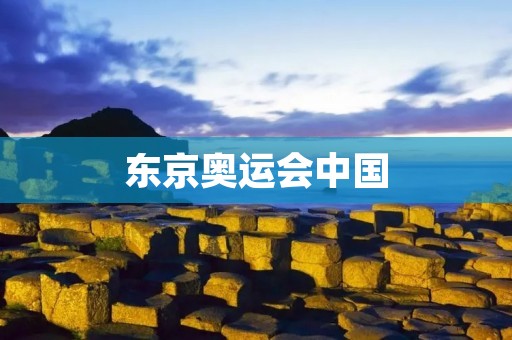 东京奥运会中国：中国体育强国的崛起与挑战