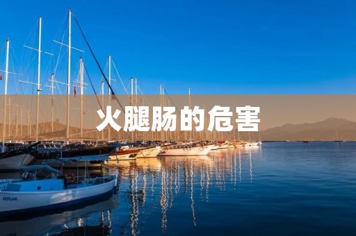 火腿肠的危害:探究其对健康的潜在风险