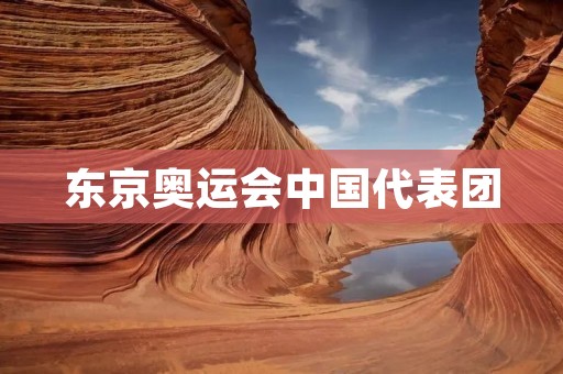 东京奥运会中国代表团:冲击历史新高的豪华阵容 东京奥运会中国代表团:冲击历史新高的豪华阵容