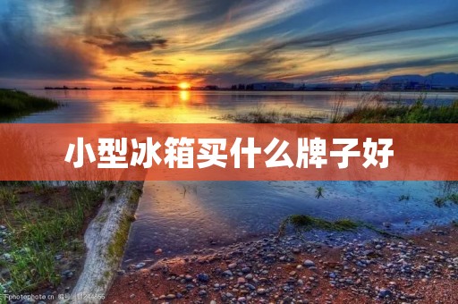 小型冰箱买什么牌子好 小型冰箱买什么牌子好
