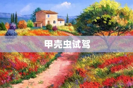 甲壳虫试驾:颠覆传统,畅享驾驶乐趣 甲壳虫试驾:颠覆传统,畅享驾驶乐趣
