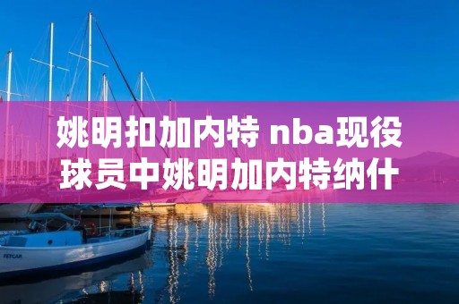 姚明扣加内特 nba现役球员中姚明加内特纳什三人的场上位置依次是