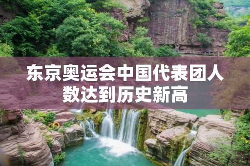 东京奥运会中国代表团人数达到历史新高 东京奥运会中国代表团人数达到历史新高