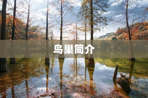 鸟巢简介