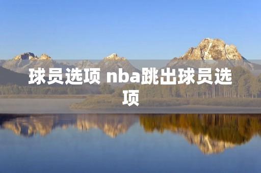 球员选项 nba跳出球员选项