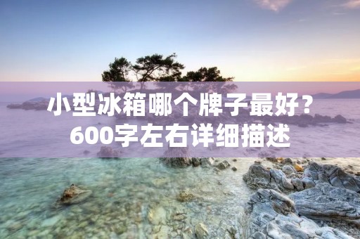 小型冰箱哪个牌子最好?600字左右详细描述 小型冰箱哪个牌子最好?600字左右详细描述