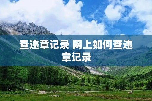 查违章记录 网上如何查违章记录