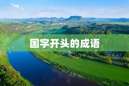 国字开头的成语