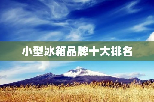 小型冰箱品牌十大排名:为你选择最适合的冷藏解决方案 小型冰箱品牌十大排名:为你选择最适合的冷藏解决方案