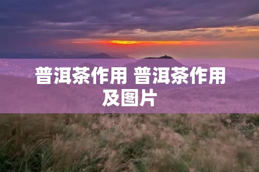 普洱茶作用 普洱茶作用及图片