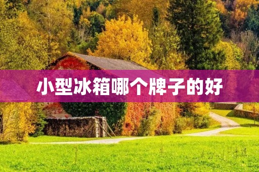 小型冰箱哪个牌子的好 小型冰箱哪个牌子的好
