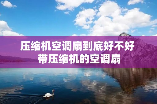 压缩机空调扇到底好不好 带压缩机的空调扇 压缩机空调扇到底好不好 带压缩机的空调扇