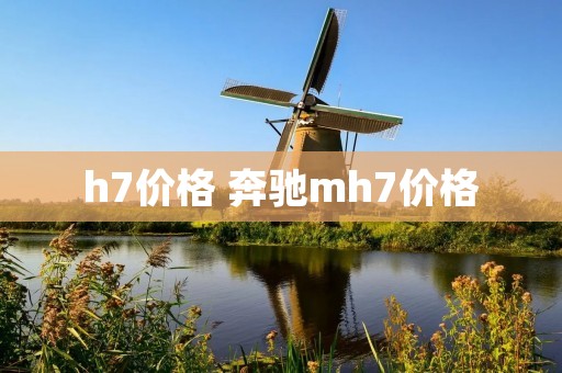 h7价格 奔驰mh7价格