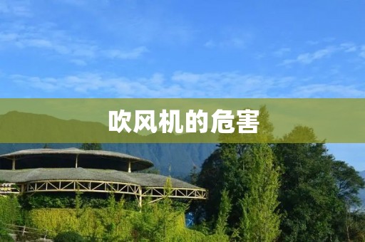 吹风机的危害:揭秘日常生活中被忽视的隐患