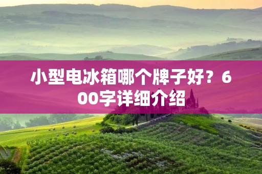 小型电冰箱哪个牌子好?600字详细介绍 小型电冰箱哪个牌子好?600字详细介绍