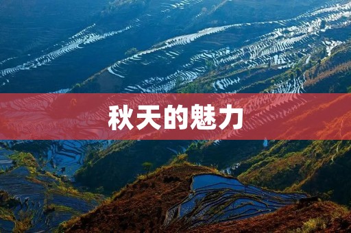 秋天的魅力：金黄世界中的诗行