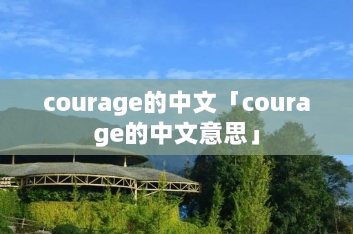 courage的中文「courage的中文意思」