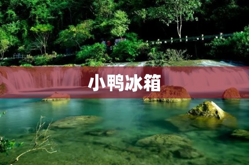 小鸭冰箱:中国品牌的新力量 小鸭冰箱:中国品牌的新力量