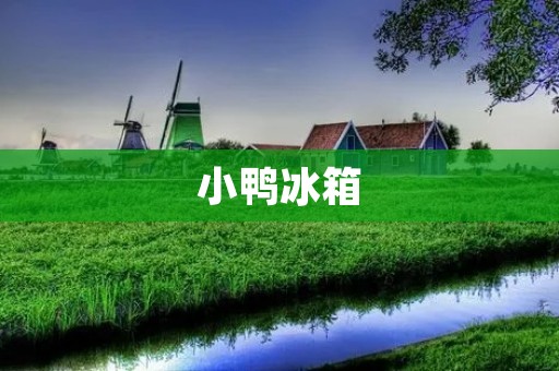 小鸭冰箱:中国制造的高品质冷藏设备 小鸭冰箱:中国制造的高品质冷藏设备