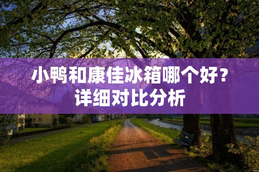 小鸭和康佳冰箱哪个好？详细对比分析