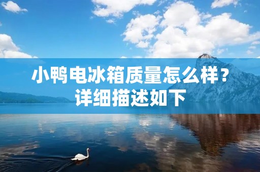 小鸭电冰箱质量怎么样？详细描述如下：