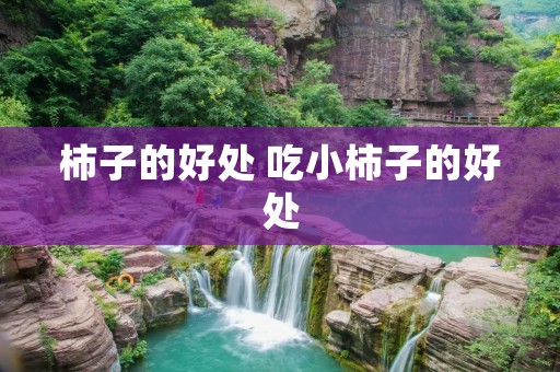 柿子的好处 吃小柿子的好处