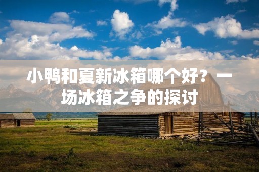 小鸭和夏新冰箱哪个好？一场冰箱之争的探讨