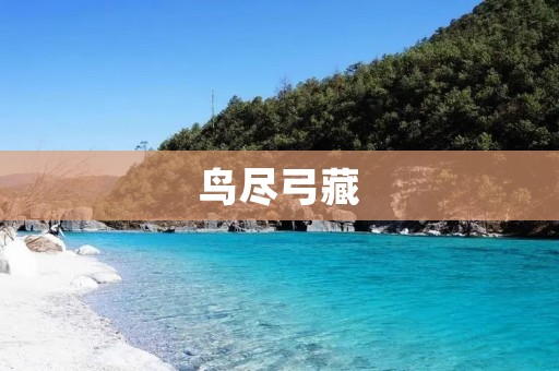 鸟尽弓藏:保护自然生态的永恒使命