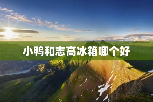 小鸭和志高冰箱哪个好