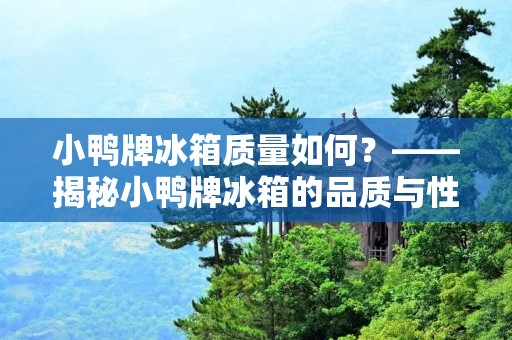 小鸭牌冰箱质量如何？——揭秘小鸭牌冰箱的品质与性能