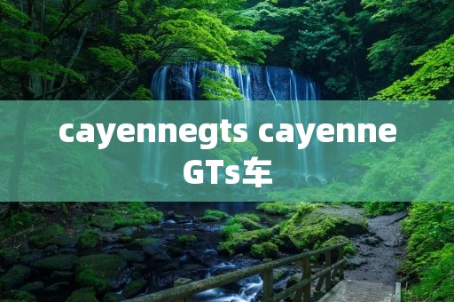 cayennegts cayenneGTs车 cayennegts cayenneGTs车