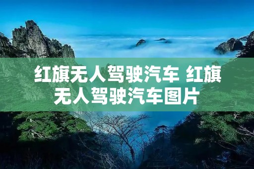 红旗无人驾驶汽车 红旗无人驾驶汽车图片 红旗无人驾驶汽车 红旗无人驾驶汽车图片