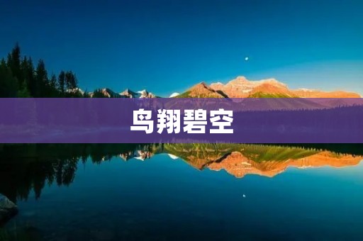 鸟翔碧空:自由翱翔的美丽画卷