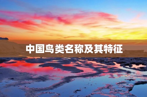 中国鸟类名称及其特征