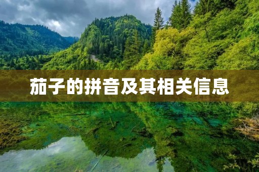 茄子的拼音及其相关信息